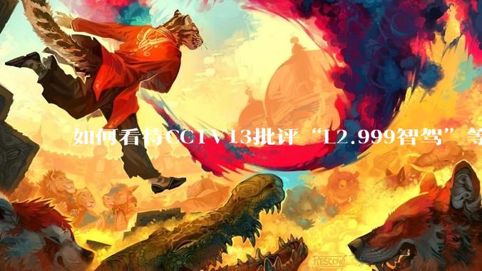 如何看待CCTV13批评“L2.999智驾”等误导性宣传，若导致事故车企可能需要担责？